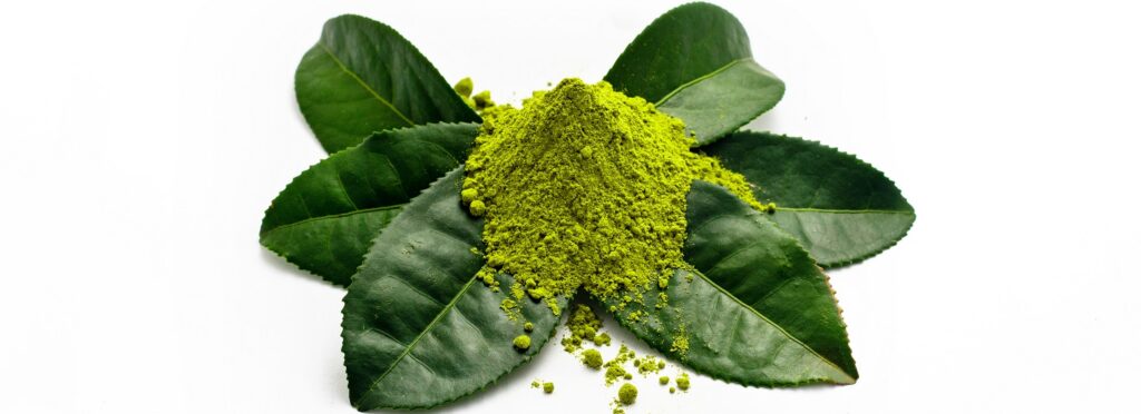 green tea extract Ukraine Lviv